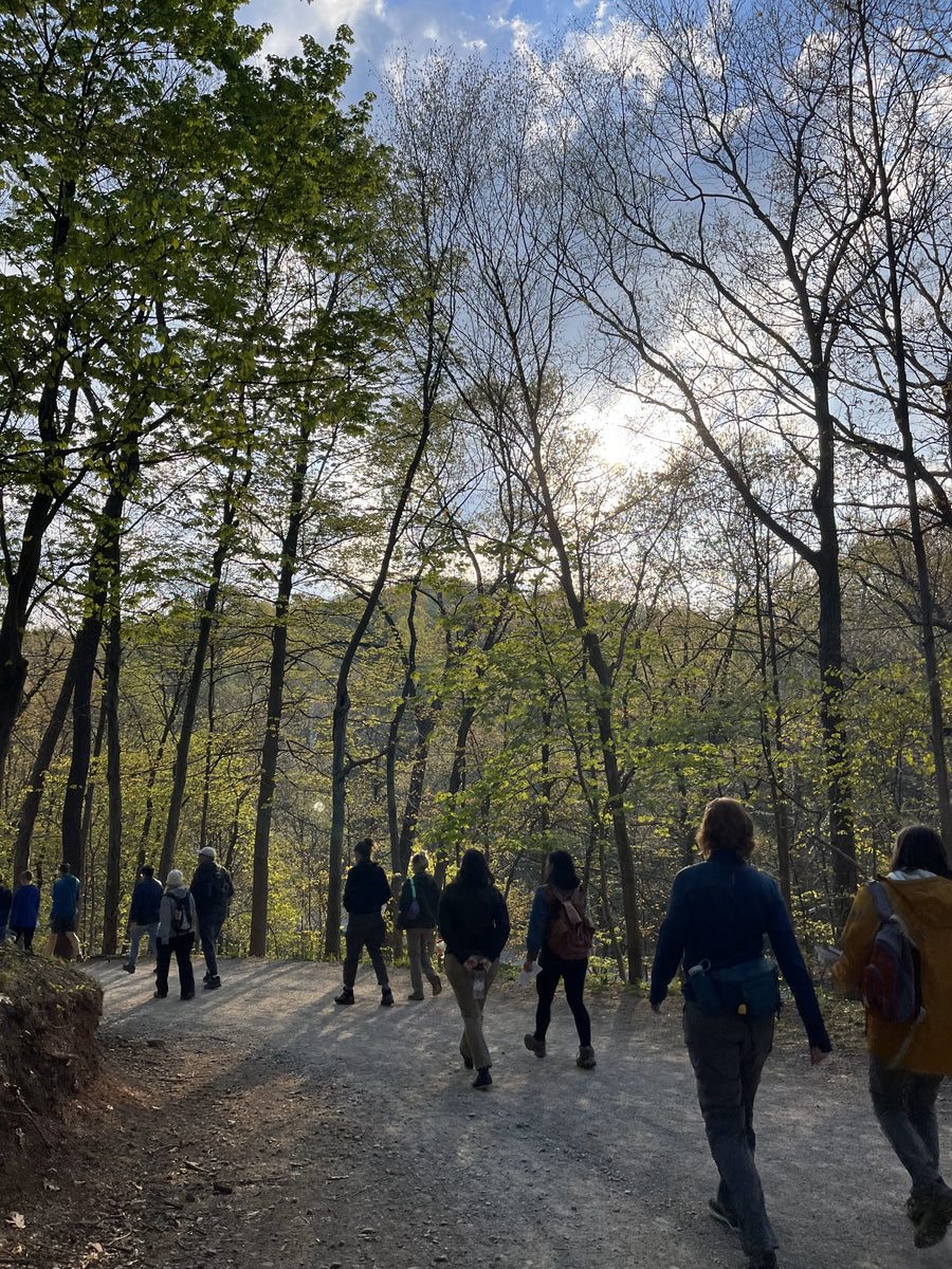 Spring 2024 Mushroom Identification Hike w/ Steel City Spore – 3 Rivers