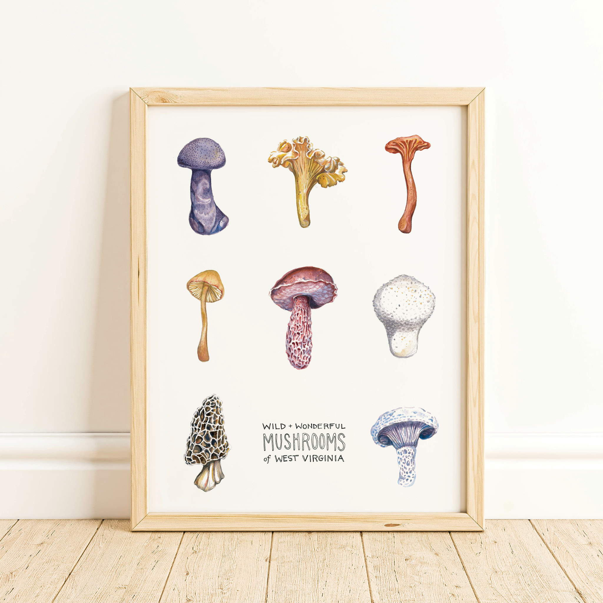 Rosalie Haizlett Illustration - Mushrooms of West Virginia Watercolor Art Print