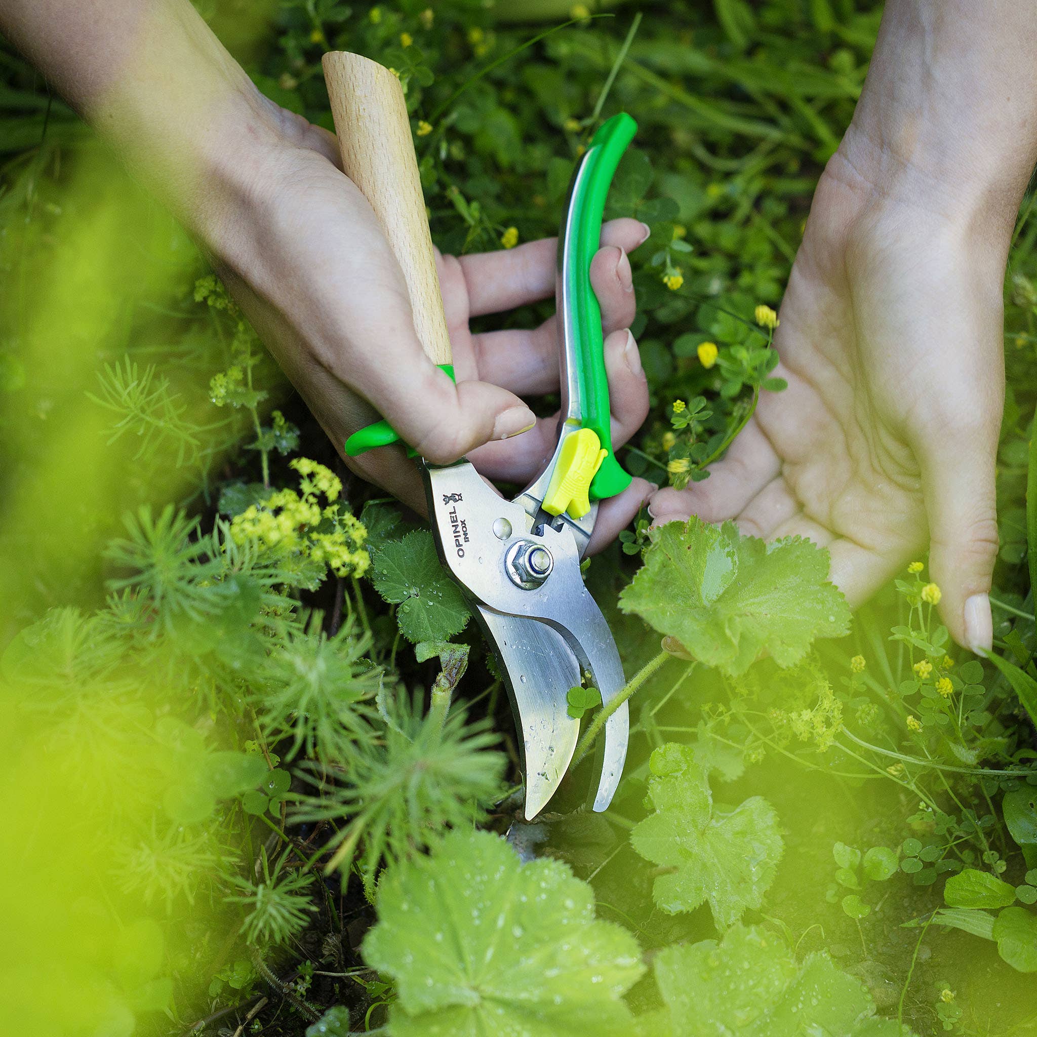 Opinel - Gardening Shears: Green