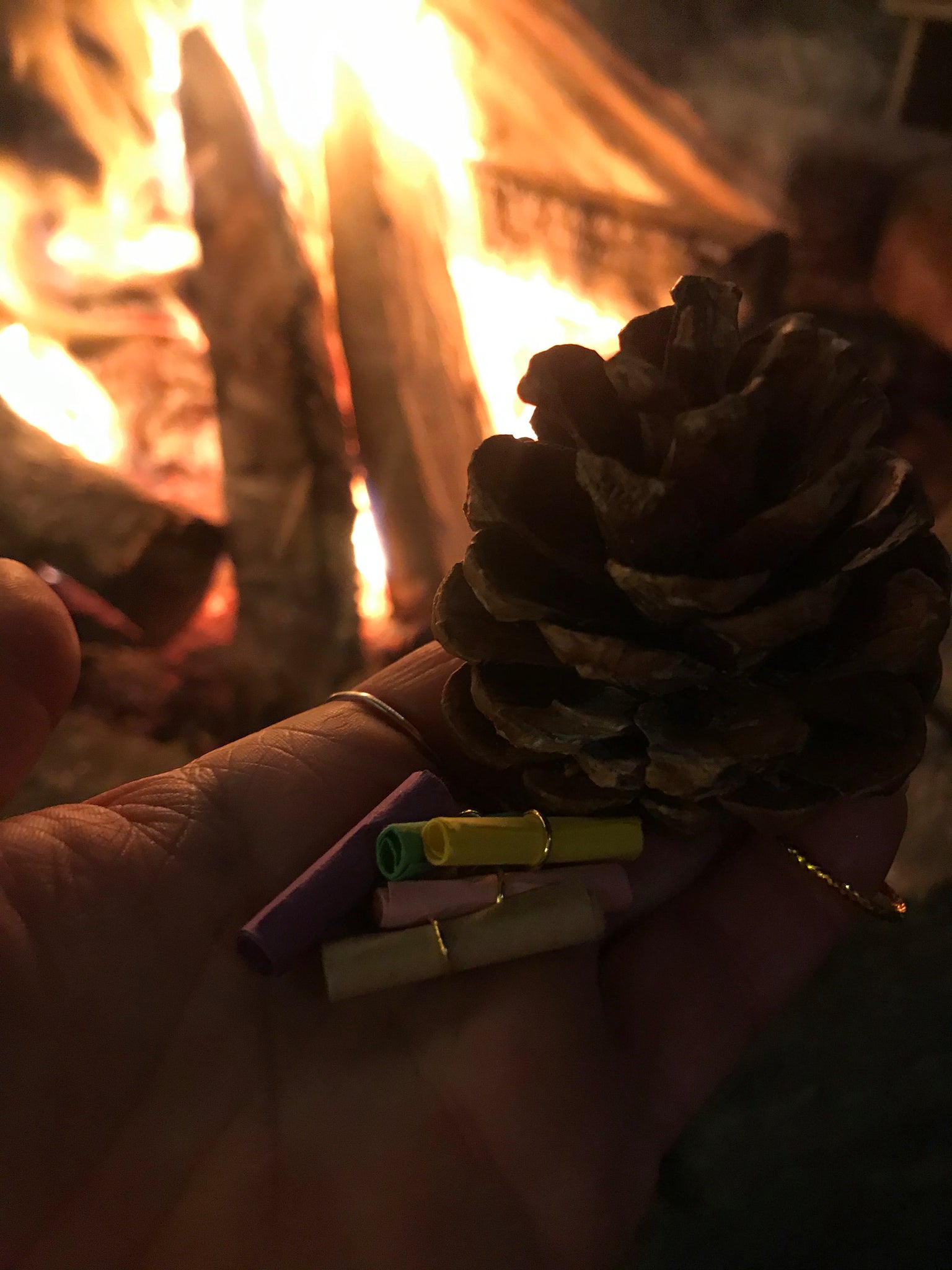 Winter Wishes Yule Cone Workshop 2025