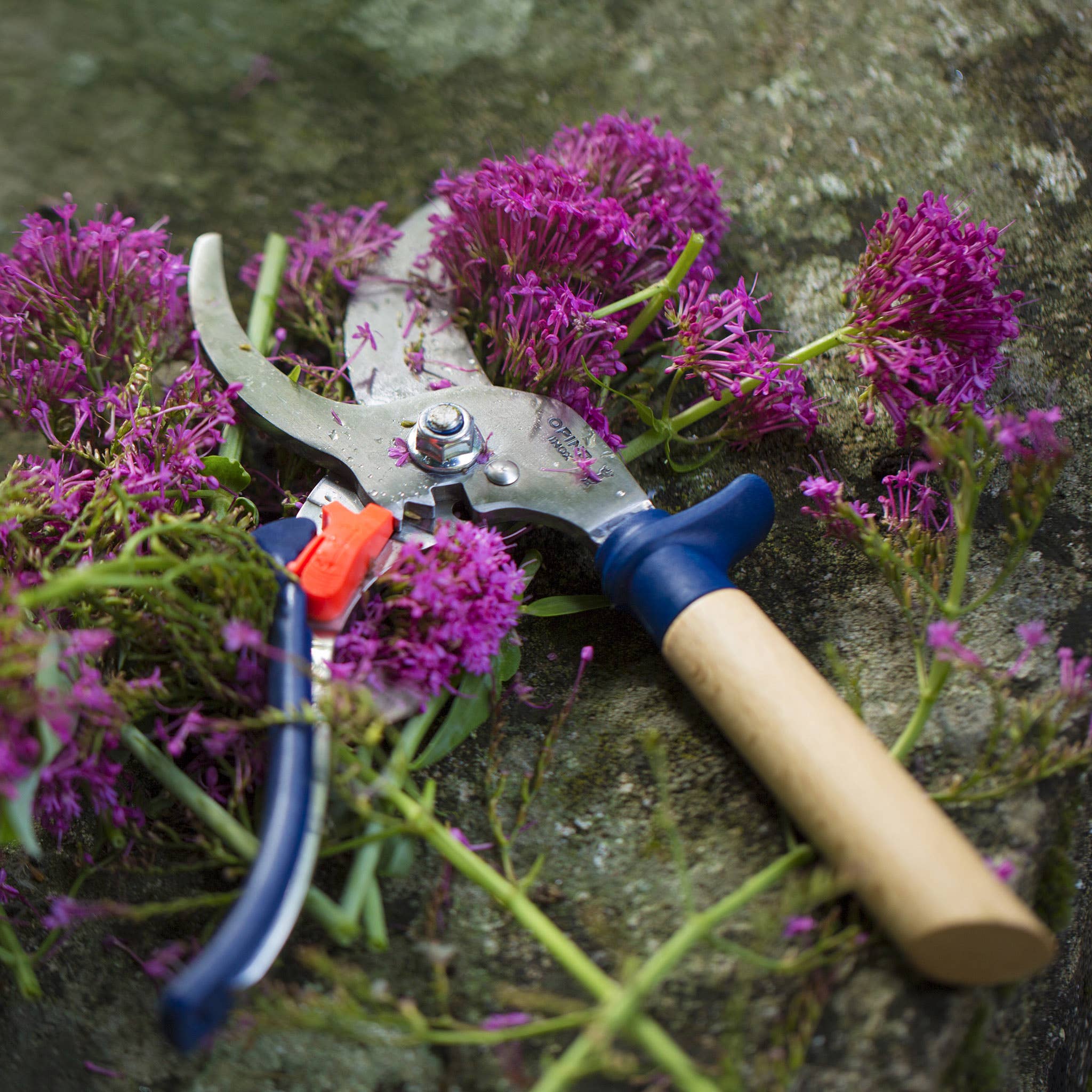 Opinel - Gardening Shears: Green