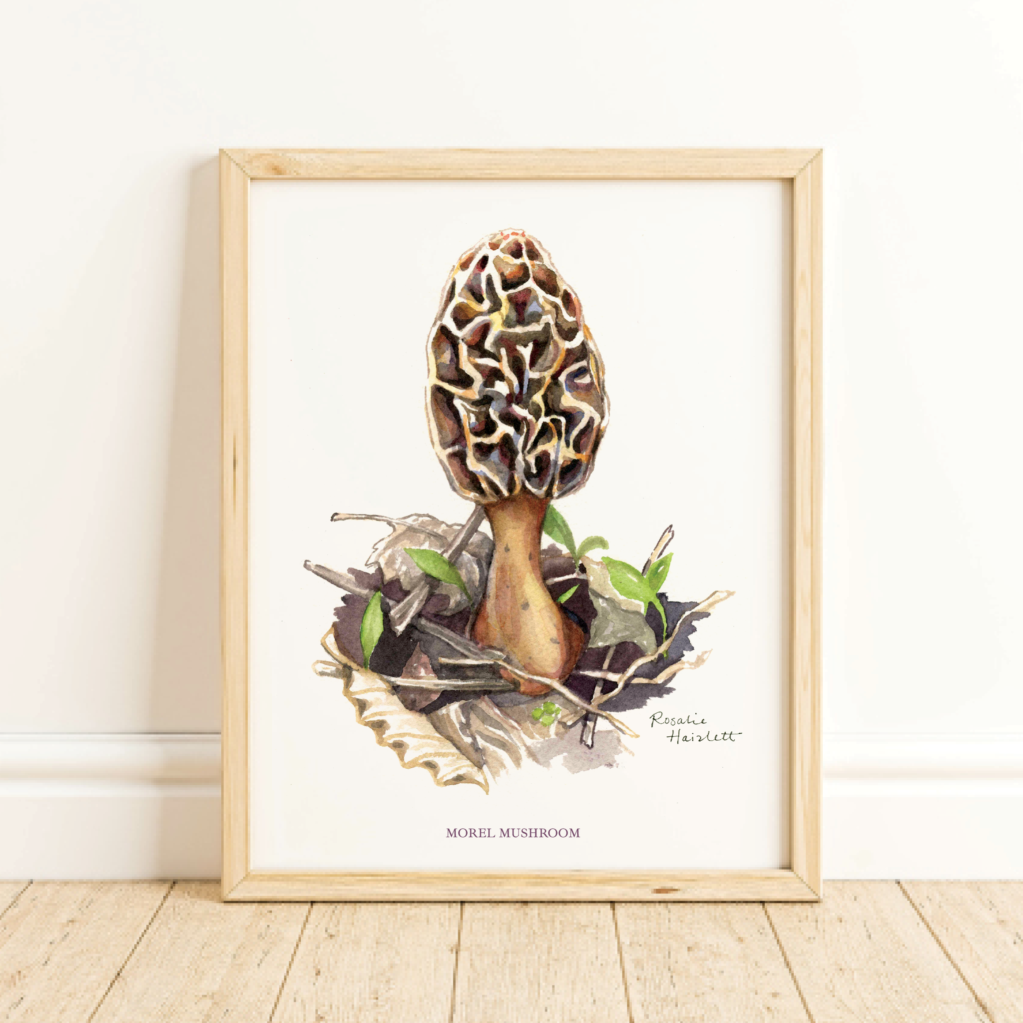 Rosalie Haizlett Illustration - Morel Mushroom - Watercolor Art Print