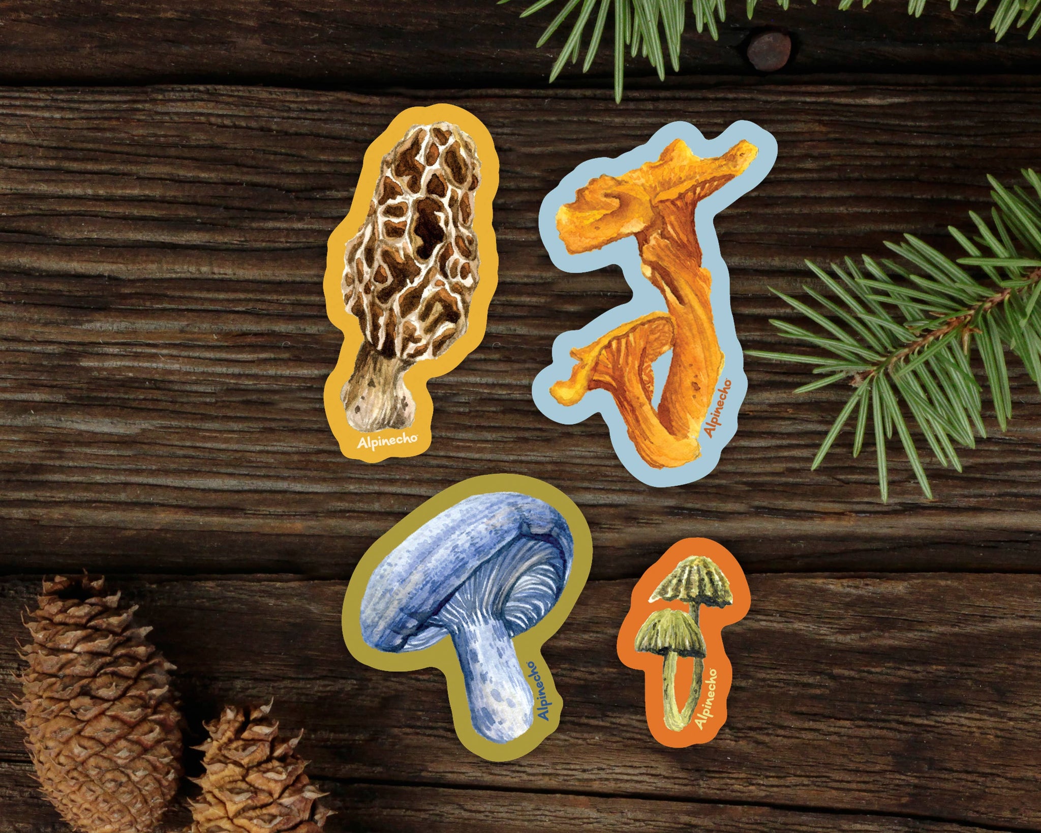 Alpinecho - Mushrooms Sticker