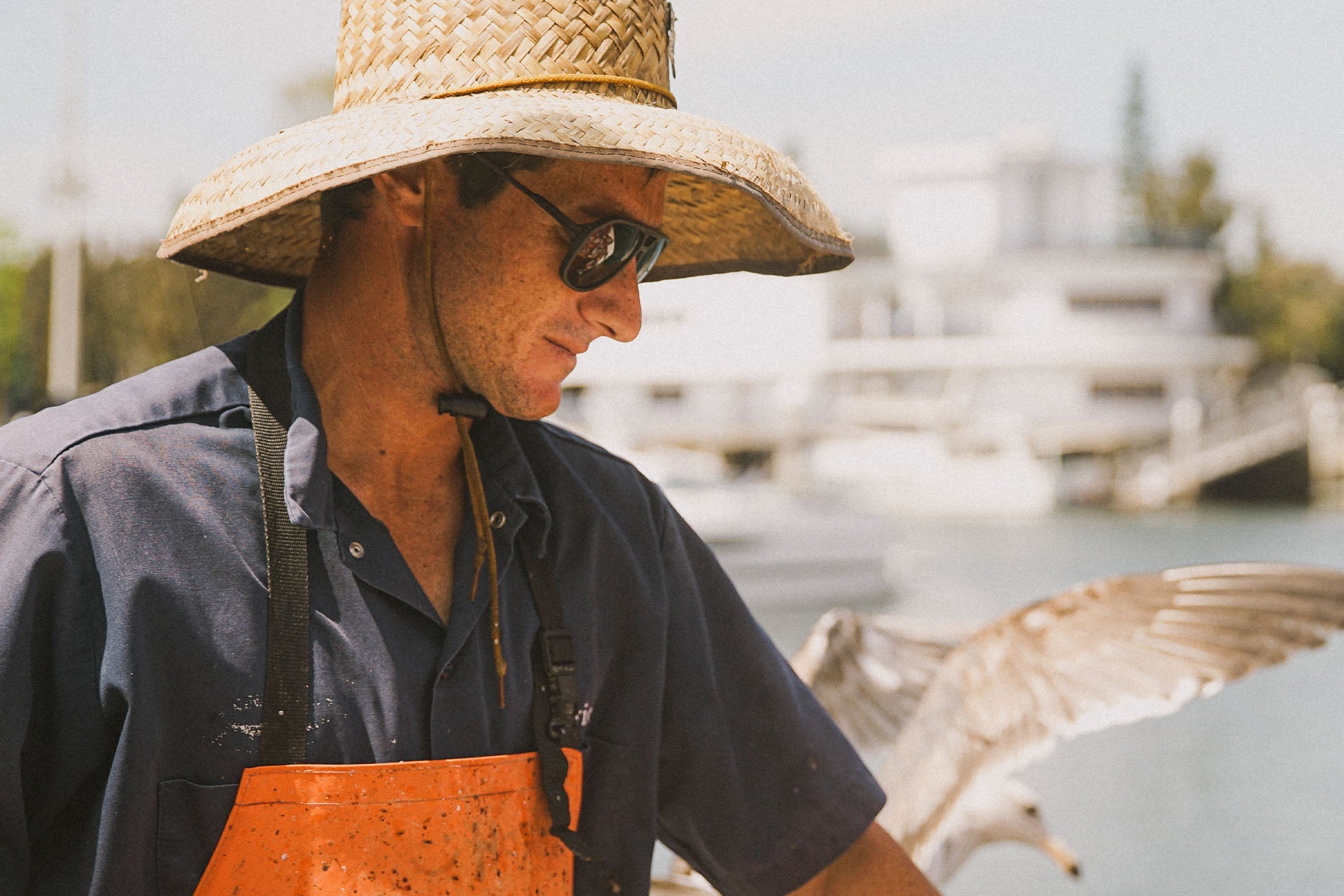 Classics, Ombraz Armless Sunglasses