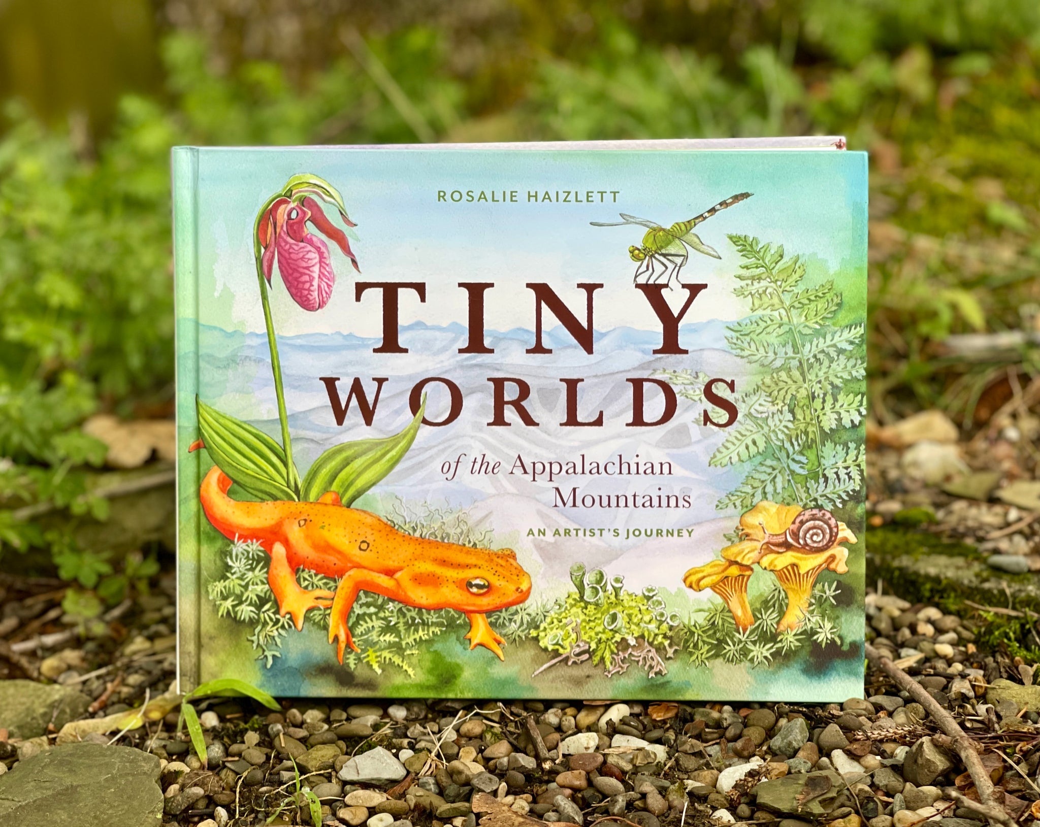 Tiny Worlds of the Appalachian Mountains  with Artist Rosalie Haizlett - Admission + Book - Sept 22