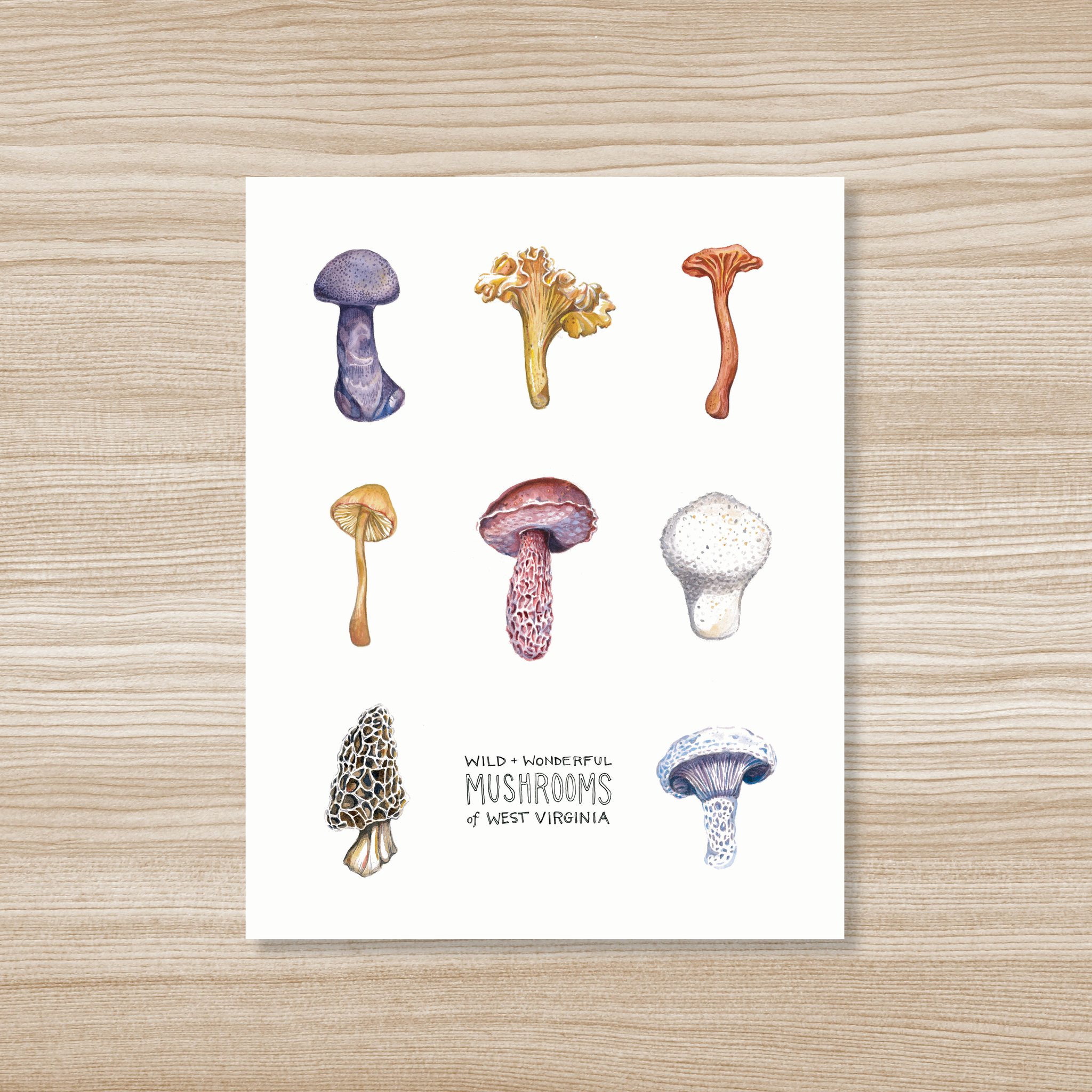 Rosalie Haizlett Illustration - Mushrooms of West Virginia Watercolor Art Print